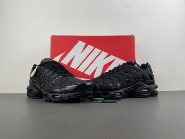 Nike Air Max Plus 'Triple Black'