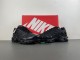 Nike Air Max Plus 'Triple Black'