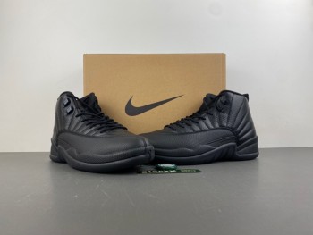 AIR JORDAN 12