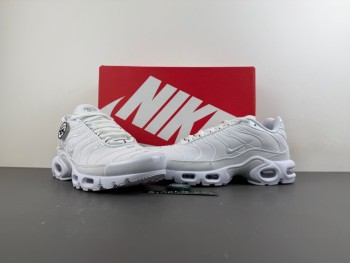 WMNS Air Max Plus