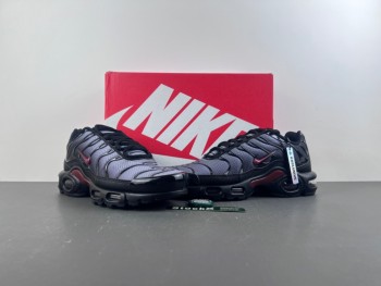 Nike Air Max Plus Low   TN