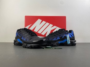 Nike Air Max Plus Low   TN