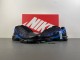 Nike Air Max Plus Low   TN