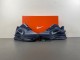 NIKE Pegasus Premium