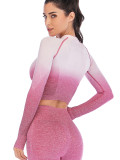 Yoga Top Full Sleeve Round Collar Athletic Outfit