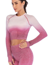 Yoga Top Full Sleeve Round Collar Athletic Outfit