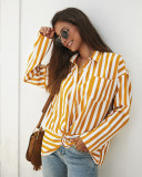 Two-Colour Striped Full Sleeve Shirt