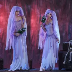 women costumes