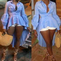 Swallow tailed style Dress