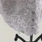 Lace Dresses