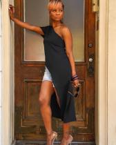Swallow tailed style Dress