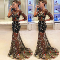 A long dress for the evening dress of the dance
