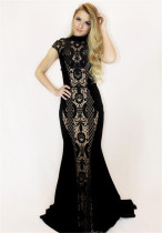 Fashion Evening Dresses