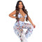 Sexy Women's Digital Printed Swimsuit Screen Two-piece Set