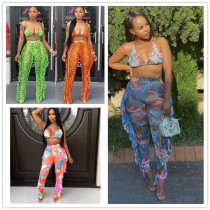 Two piece set of printed swimsuit