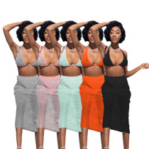 Sexy mesh bikini swimsuit Skirt Set