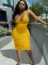 Suspender vest deep U-neck sexy dress