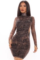  Bodycon Dresses