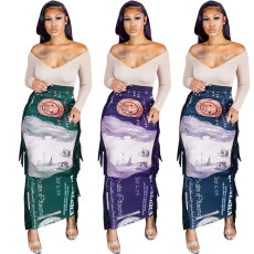Two side tassel zip dollar print skirt