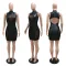Round neck perspective Hip Wrap Dress