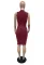 Solid half high neck hip wrap dress