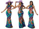 Colorful feather print sleeveless dress