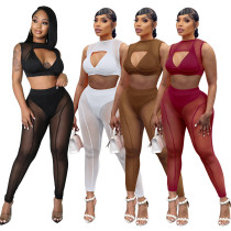 Perspective deep V two piece set