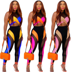 Color matching mesh sexy two piece set