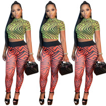 Two piece screen top and pants print set
