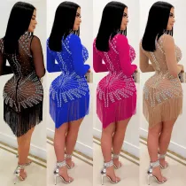 Diamond mesh long sleeved dress