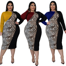 Large leopard pattern matching color matching dress