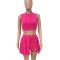 Sleeveless staple short skirt two piece set