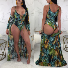 Two printed Cape bikini swimwear