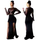 Mesh Perspective Split Long Sleeve Dress