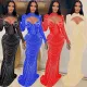 Scalded Mesh Long Sleeve V-Neck Dress