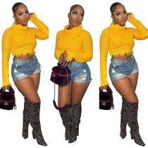 High Neck Long Sleeve Irregular Tassel Sweater