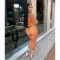 Sexy perspective solid color sports suit