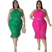 Plus size tassel fishing net knitting casual two-piece set