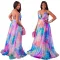 Large print large swing dress casual beach dress