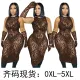 Large Perspective Mesh Stripe Print Dress (Gloved)