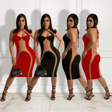 Sexy Fashion Hanging Neck Open Back Perspective Panel Dress
