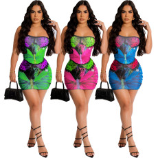 Butterfly positioning printed skirt set