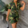 5# Camouflage green