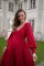 Sexy Chiffon Long Sleeve Dress