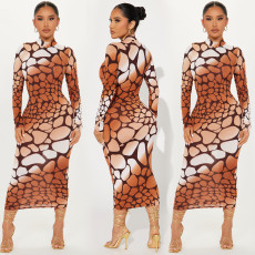 Fashionable slim fitting long sleeved printed dress