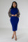 Sequin sleeve patchwork solid color mid length dress