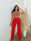 Sexy and fashionable back zippered straight pants