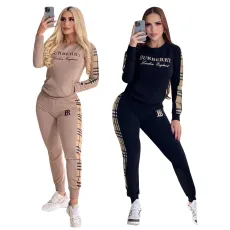 Autumn and Winter New Sports Fashion Embroidery Two Piece Set with 2 Colors in Stock