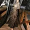 Leopard print elegant dress long sleeved round neck slim fit long skirt