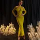 Sexy fashion long-sleeved mesh splicing V-neck Slim package hip dresses